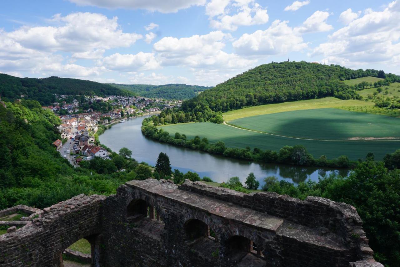 Fewo Am Neckarsteig Mit Anbindung An Heidelberg Neckarsteinach Exterior photo